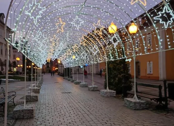 Zielone Tarasy Apartment Jelenia Góra